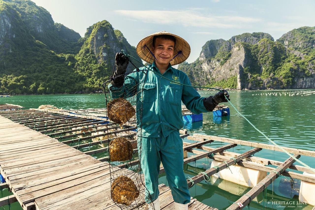 Heritage Line Violet Cruise - Halong Bay & Lan Ha Bay Hạ Long Ngoại thất bức ảnh